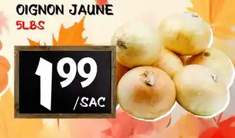 Marche Salaberry OIGNON JAUNE offer