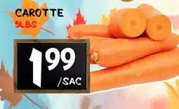 Marche Salaberry CAROTTE offer
