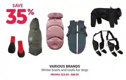 Mondou Winter boots and coats for dogs offer