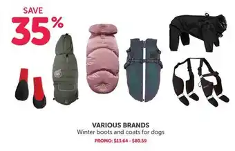 Mondou Winter boots and coats for dogs offer
