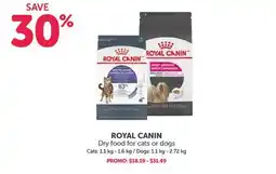 Mondou ROYAL CANIN Dry food for cats or dogs offer