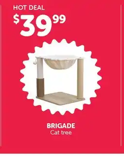 Mondou BRIGADE Cat tree offer