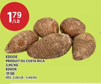 Kim Phat EDDOE offer