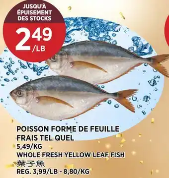 Kim Phat WHOLE FRESH YELLOW LEAF FISH offer