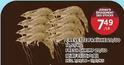 Kim Phat FRESH SHRIMP 20/30 offer