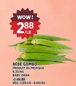 Kim Phat BABY OKRA offer