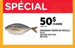 Kim Phat YELLOW LEAF FISH offer