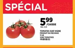 Kim Phat VINE TOMATOES offer