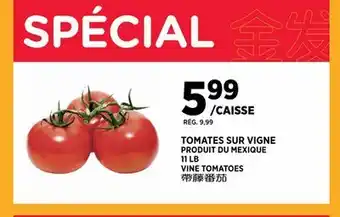 Kim Phat VINE TOMATOES offer