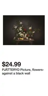 IKEA PJÄTTERYD Picture, flowers-against a black wall offer