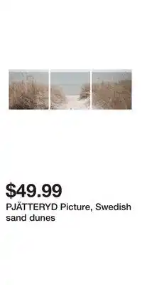 IKEA PJÄTTERYD Picture, Swedish sand dunes offer