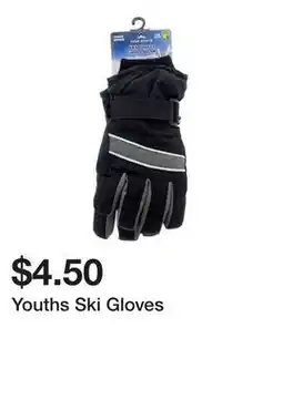 Dollarama Youths Ski Gloves offer