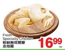 T&T Supermarket FRESH SPECIALTY CHICKEN offer