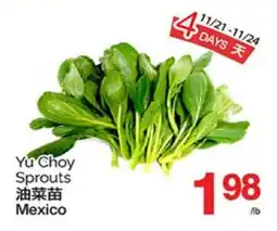 T&T Supermarket YU CHOY SPROUTS offer