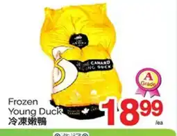 T&T Supermarket FROZEN YOUNG DUCK offer