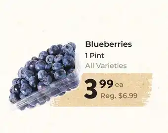 Marche Leo's Blueberries offer