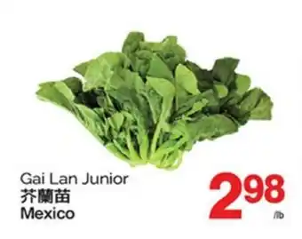 T&T Supermarket GAI LAN JUNIOR offer