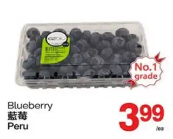 T&T Supermarket BLUEBERRY offer