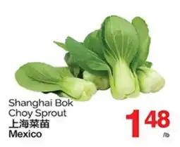 T&T Supermarket SHANGHAI BOK CHOY SPROUT offer