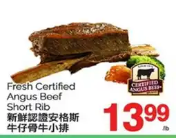 T&T Supermarket FRESH CERTIFIED ANGUS BEEF SHORT RIB offer