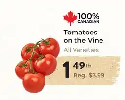 Marche Leo's Tomatoes on the Vine offer