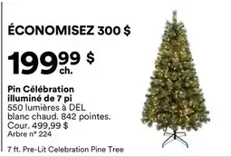 Michaels Pin Célébration illuminé de 7 pi offer