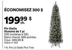 Michaels Pin Stella illuminé de 7 pi offer