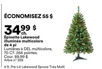 Michaels Épinette Lakewood illuminée multicolore de 4 pi offer