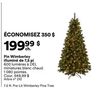 Michaels Pin Wimberley illuminé de 7,5 pi offer