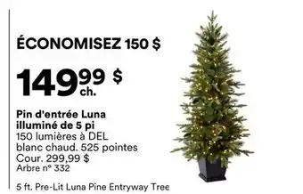 Michaels Pin d'entrée Luna illuminé de 5 pi offer