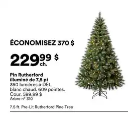 Michaels Pin Rutherford illuminé de 7,5 pi offer