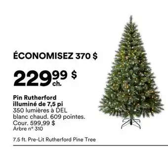 Michaels Pin Rutherford illuminé de 7,5 pi offer