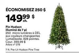 Michaels Pin Hudson illuminé de 7 pi offer