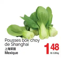 T&T Supermarket POUSSES BOK CHOY DE SHANGHAI offer