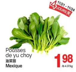 T&T Supermarket Pousses de yu choy offer