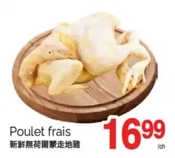 T&T Supermarket POULET FRAIS offer