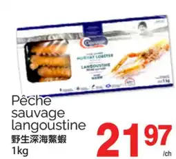 T&T Supermarket PÊCHE SAUVAGE LANGOUSTINE, 1kg offer