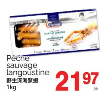 T&T Supermarket PÊCHE SAUVAGE LANGOUSTINE, 1kg offer