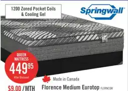 The Brick Springwall Florence Eurotop Medium Queen Mattress offer