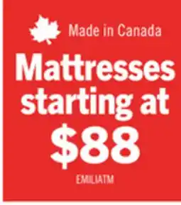 The Brick Springwall Emilia Tight Top Twin Mattress offer