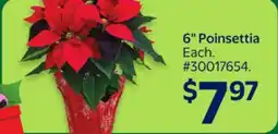 Walmart 6 Poinsettia offer