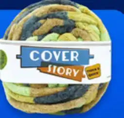 Walmart Lion Brand Cover Story yarn 300 g offer