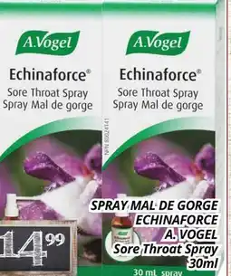Supermarché PA SPRAY MAL DE GORGE ECHINAFORCE A. VOGEL | Sore Throat Spray offer