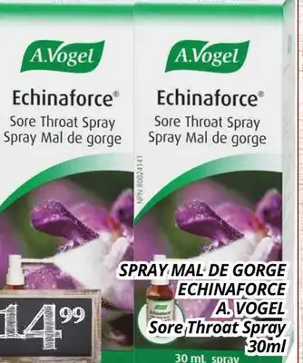 Supermarché PA SPRAY MAL DE GORGE ECHINAFORCE A. VOGEL | Sore Throat Spray offer