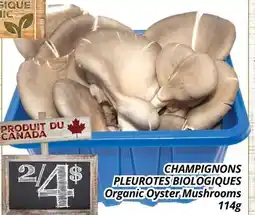Supermarché PA CHAMPIGNONS PLEUROTES BIOLOGIQUES | Organic Oyster Mushrooms offer