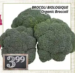 Supermarché PA BROCOLI BIOLOGIQUE | Organic Broccoli offer