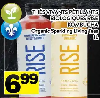 Supermarché PA THÉS VIVANTS PÉTILLANTS BIOLOGIQUES RISE KOMBUCHA | Organic Sparkling Living Teas offer