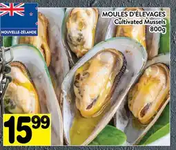 Supermarché PA MOULES D'ÉLEVAGES | Cultivated Mussels offer