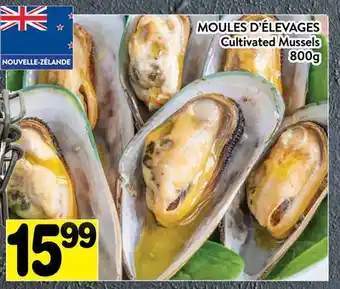 Supermarché PA MOULES D'ÉLEVAGES | Cultivated Mussels offer