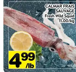 Supermarché PA CALMAR FRAIS SAUVAGE | Fresh Wild Squid offer